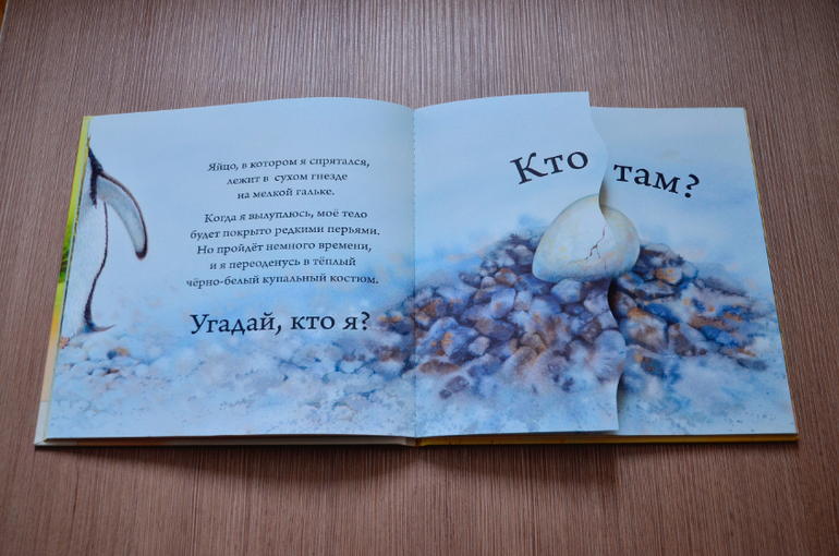Кто вылупляется из яйца? — 23 ответов | форум Babyblog