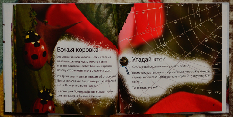 Эту книгу мы возьмем с собой на дачу!