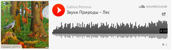 Звуки природы и виммельбухи