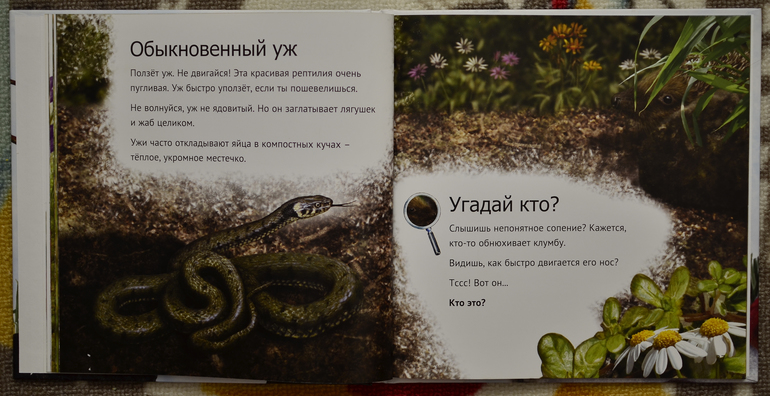 Эту книгу мы возьмем с собой на дачу!