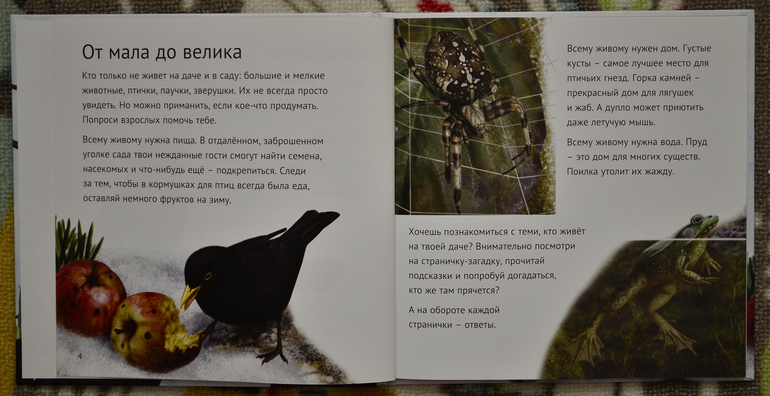 Эту книгу мы возьмем с собой на дачу!