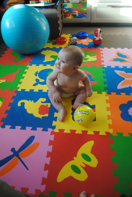 Полугодовасие