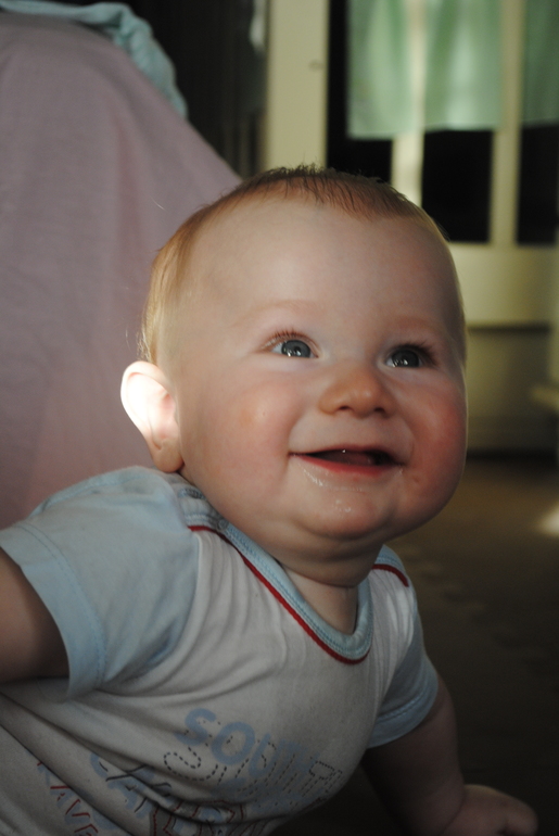 Полугодовасие