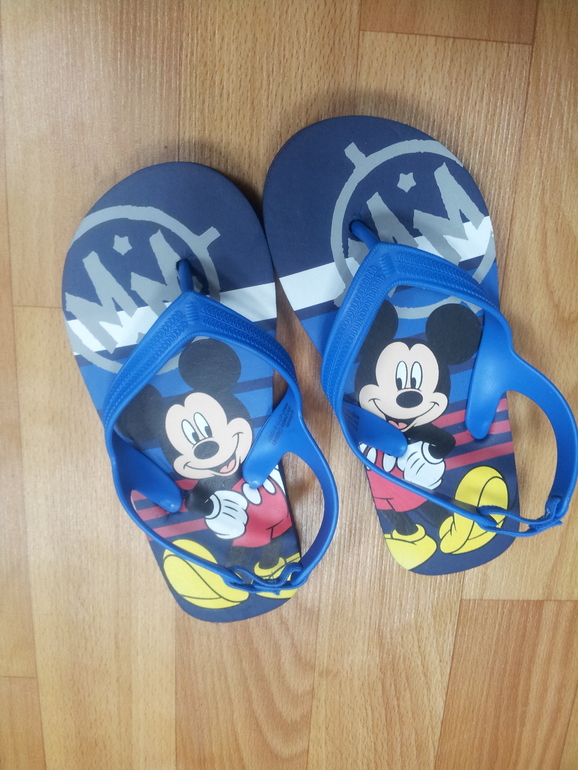 Сланцы Disney