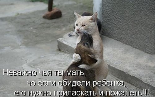 Много, много, много фото-приколов