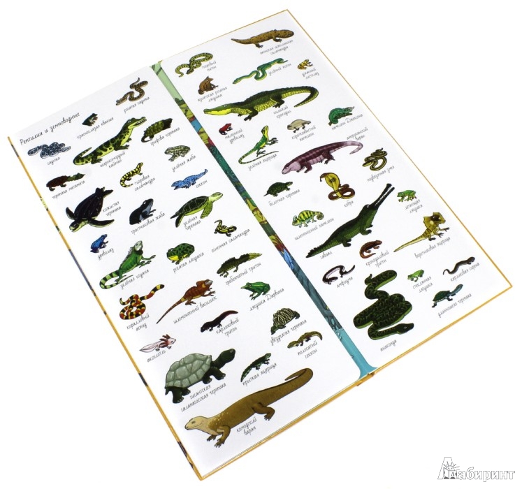 наш книжный Wish List