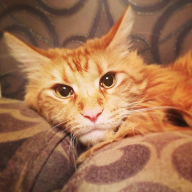 Цезарио Константинопулус