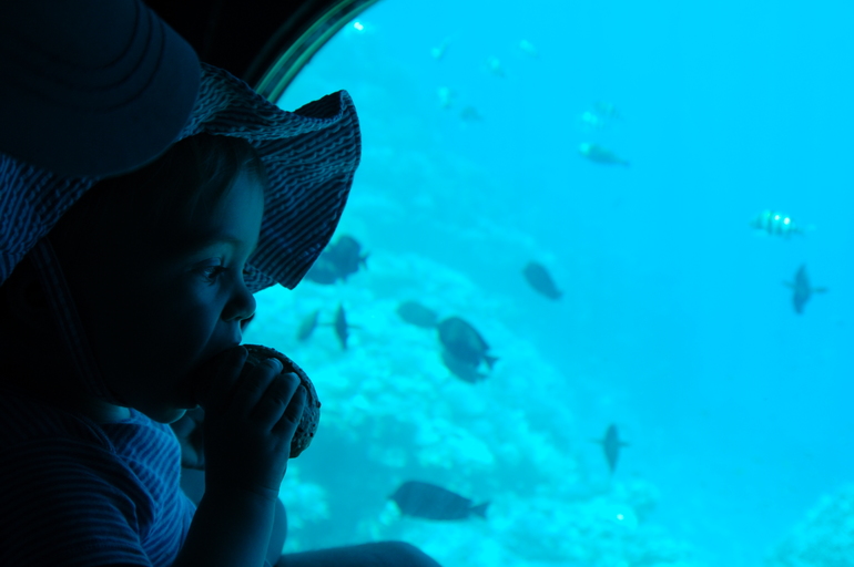 Отдых в Египте с двумя детьми (10 лет и 1,5 г.)