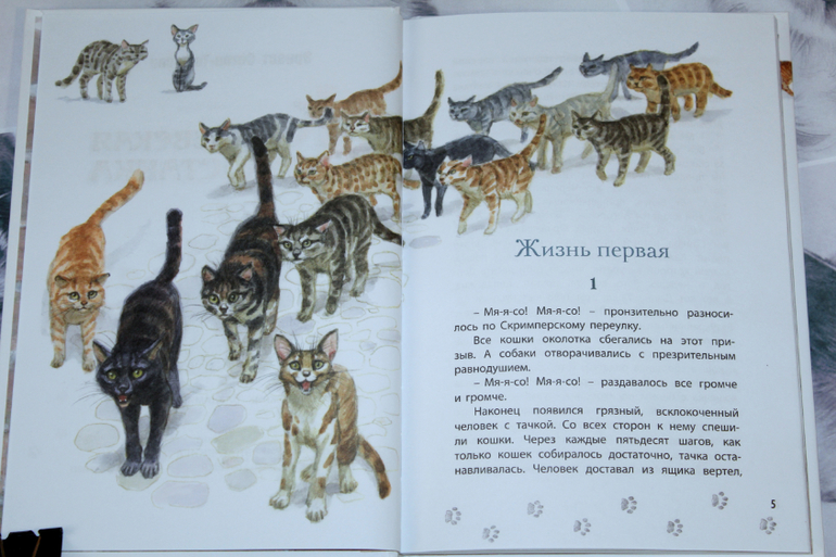 Рисунок кошки из рассказа королевская аналостанка