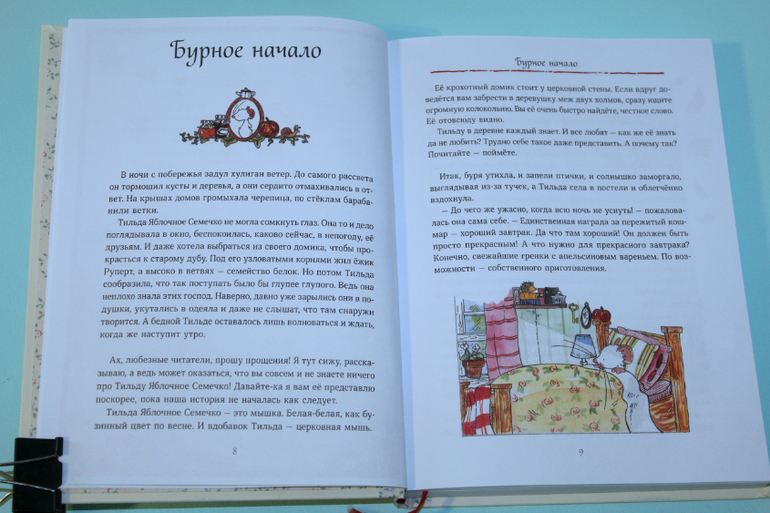 Тильда Яблочное Семечко.