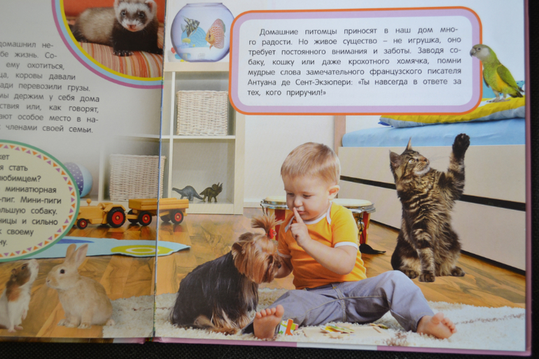 Много книг для детей!!! Все новые!!