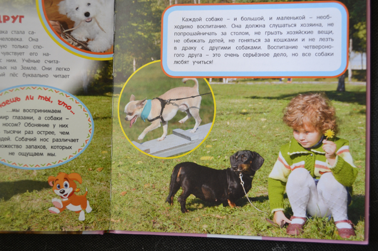 Много книг для детей!!! Все новые!!