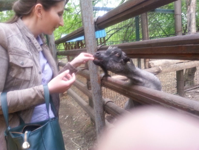 Контактный зоопарк ЖК Золотые ключи 2