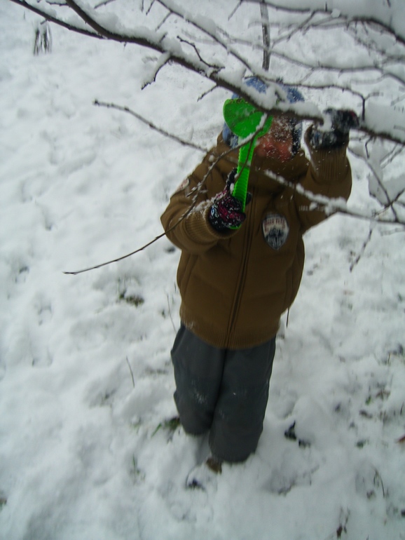 НОВОГОДНИЙ ПЕРЕПОЛОХ 1 НЕДЕЛЯ