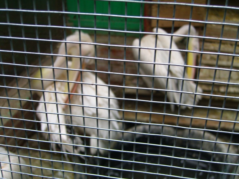 Наши выходные!!!!!!