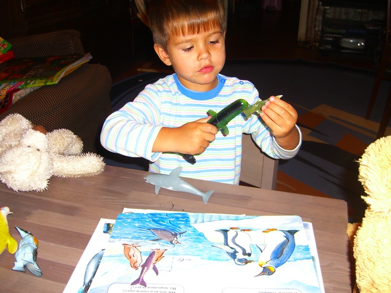 АРКТИКА И АНТАРКТИКА!! ДЕНЬ1