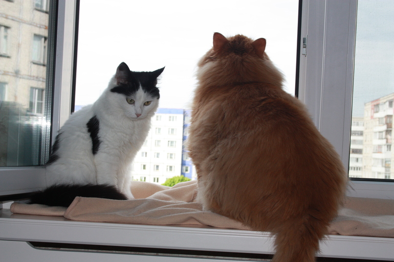 Взлёт 72, шаг 4