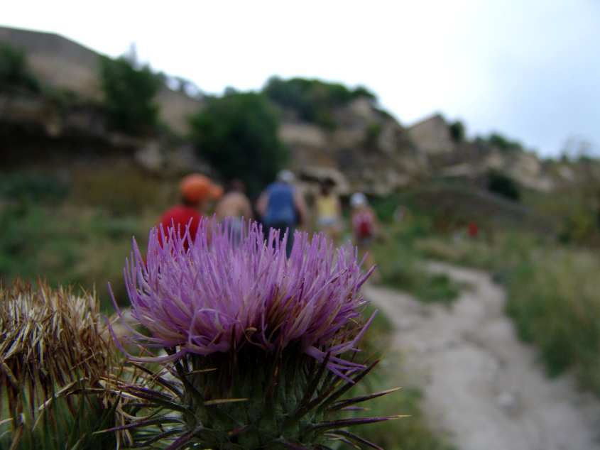 Бахчисарай и окрестности.