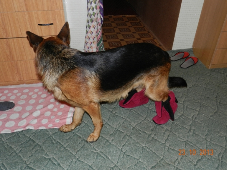 наши примерки))