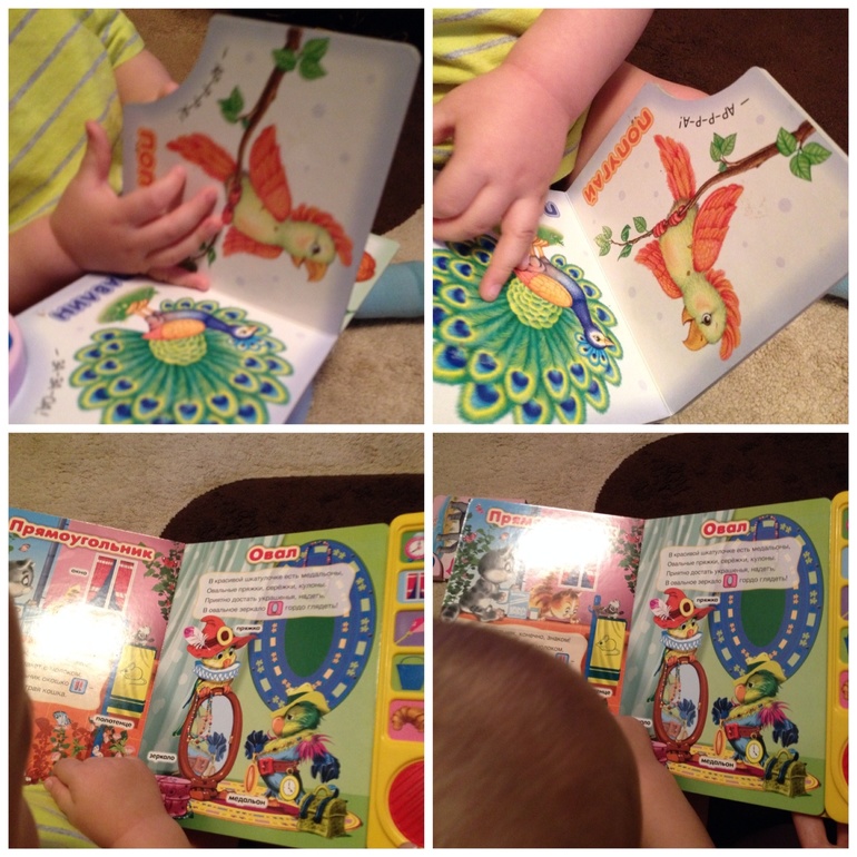 ТН Домашние животные. День 3 - попугай.