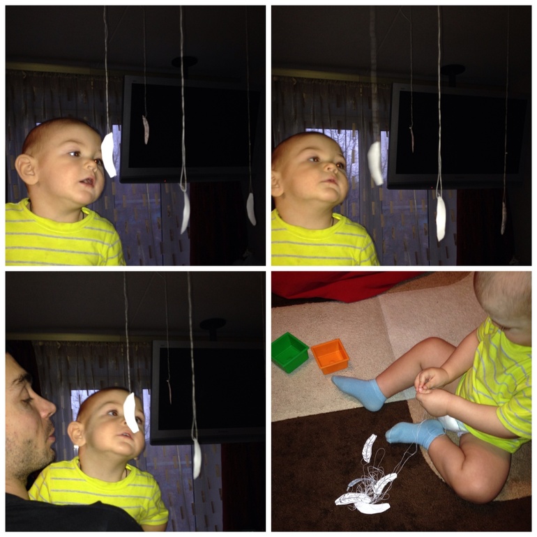 ТН Домашние животные. День 3 - попугай.