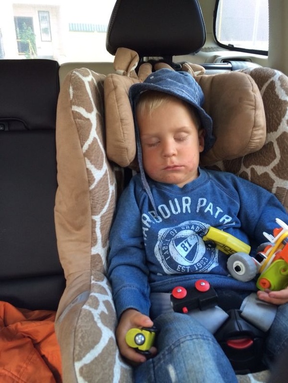 Земляника и мы