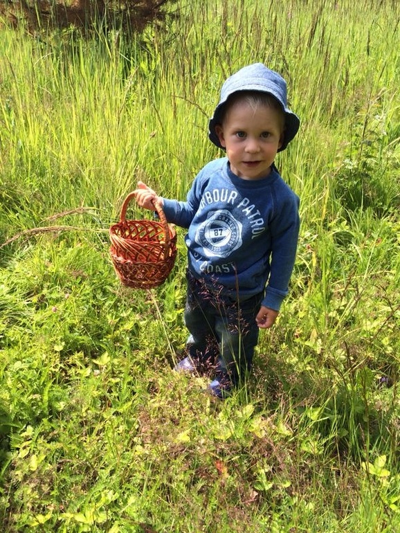 Земляника и мы