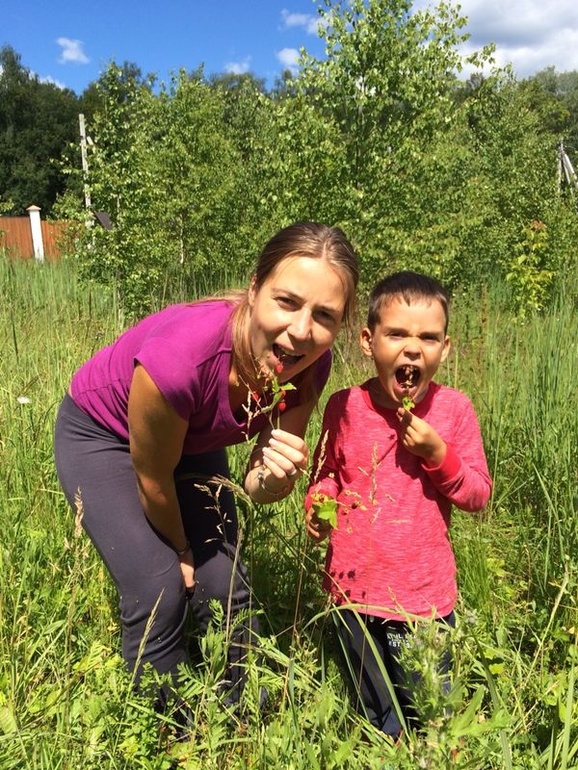 Земляника и мы