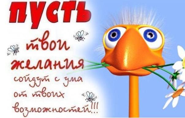 f3fe76f79786934bea1ccb51e55c352a.jpg