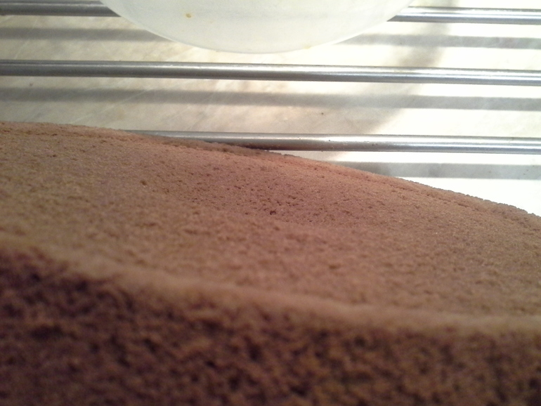 Девули, что делать с коржом?