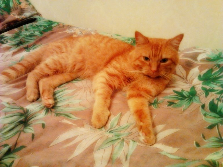 Доброе дело