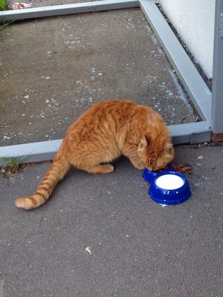 Доброе дело