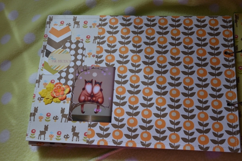 Кошкин дом- альбом для девочки