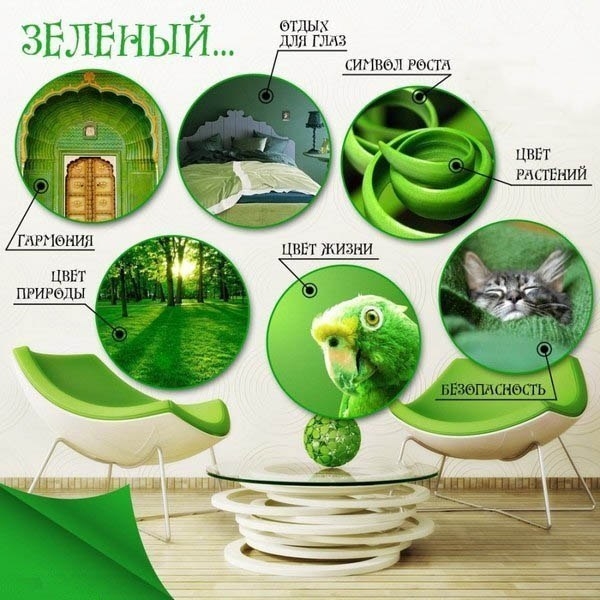 ЗЕЛЕНЫЙ ОБмеН!