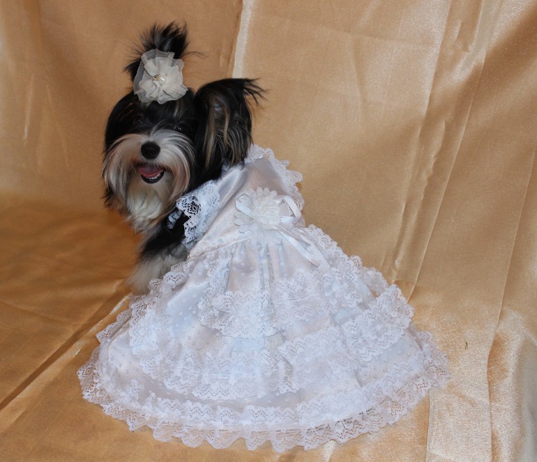 У нас была фотосессия