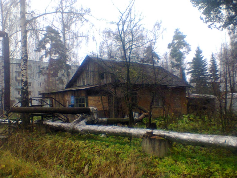 Новоселье...жизнь в Тайге