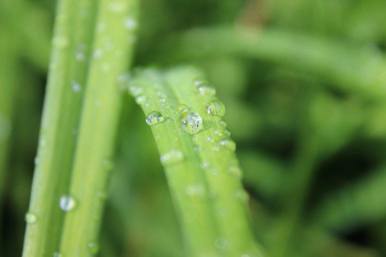 После дождичка))