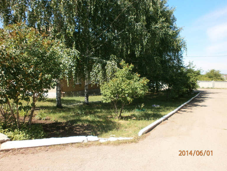 Поездка в ДД с акцией