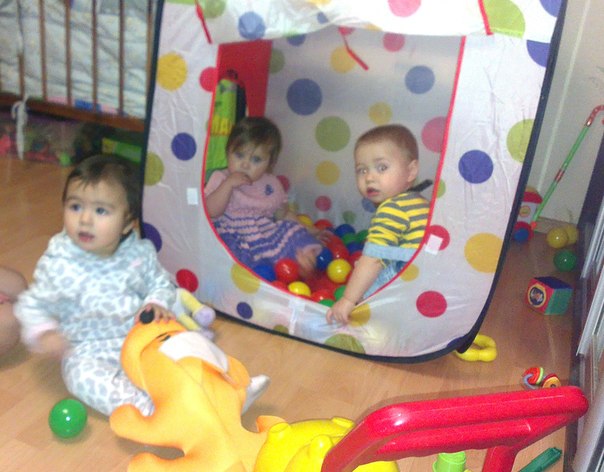 Отчет за год.