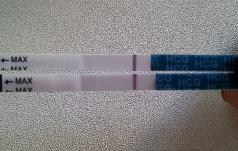 Повторила тест...