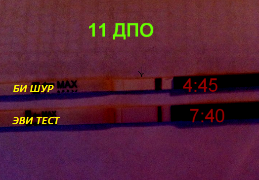 11 ДПО!!! НАДЕЖДА УМИРАЕТ ПОСЛЕДНЕЙ)