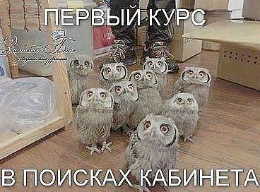 Улыбайся, улыбайся...)))