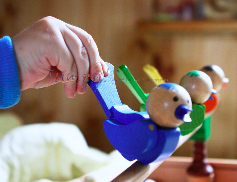 Всеми любимый GoGo!