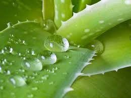 Метод холодного гидрирования