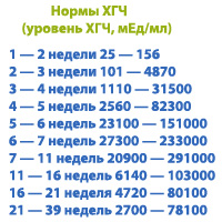 2c8b17dbacf8fdd559cf3351d3513277.jpg