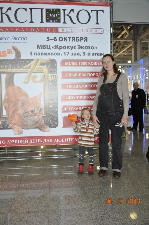 Постой, паровоз, не стучите, колеса...
