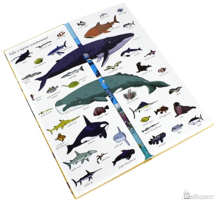 пополнение книжной полочки