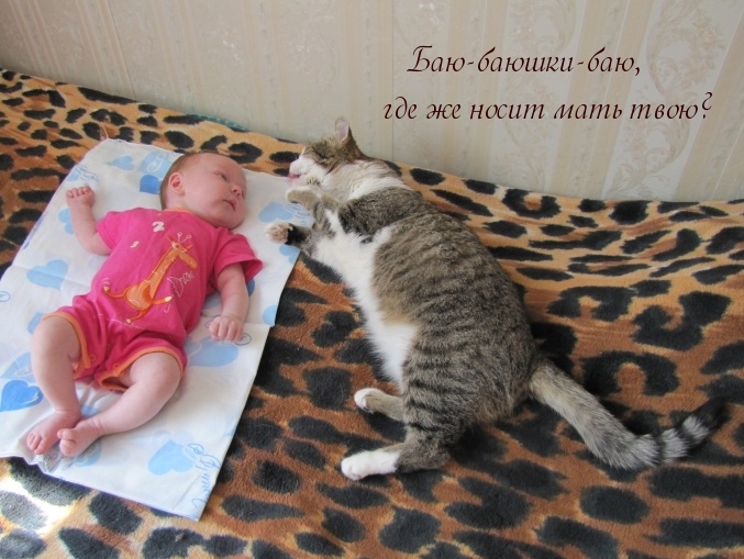 О ребятах и зверятах...