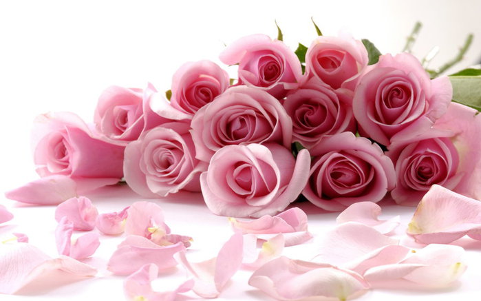 55a1dd70d124baf9bc8b9bb6a703b36c.jpg