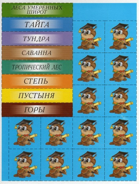 Дидактическая игра